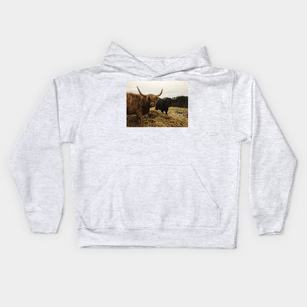 Scottish Highland Cattle Cow and Bull 2169 Kids Hoodie by SaarelaHighland